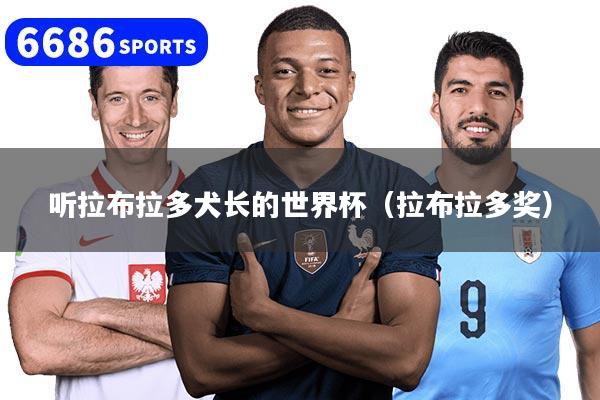 听拉布拉多犬长的世界杯（拉布拉多奖）